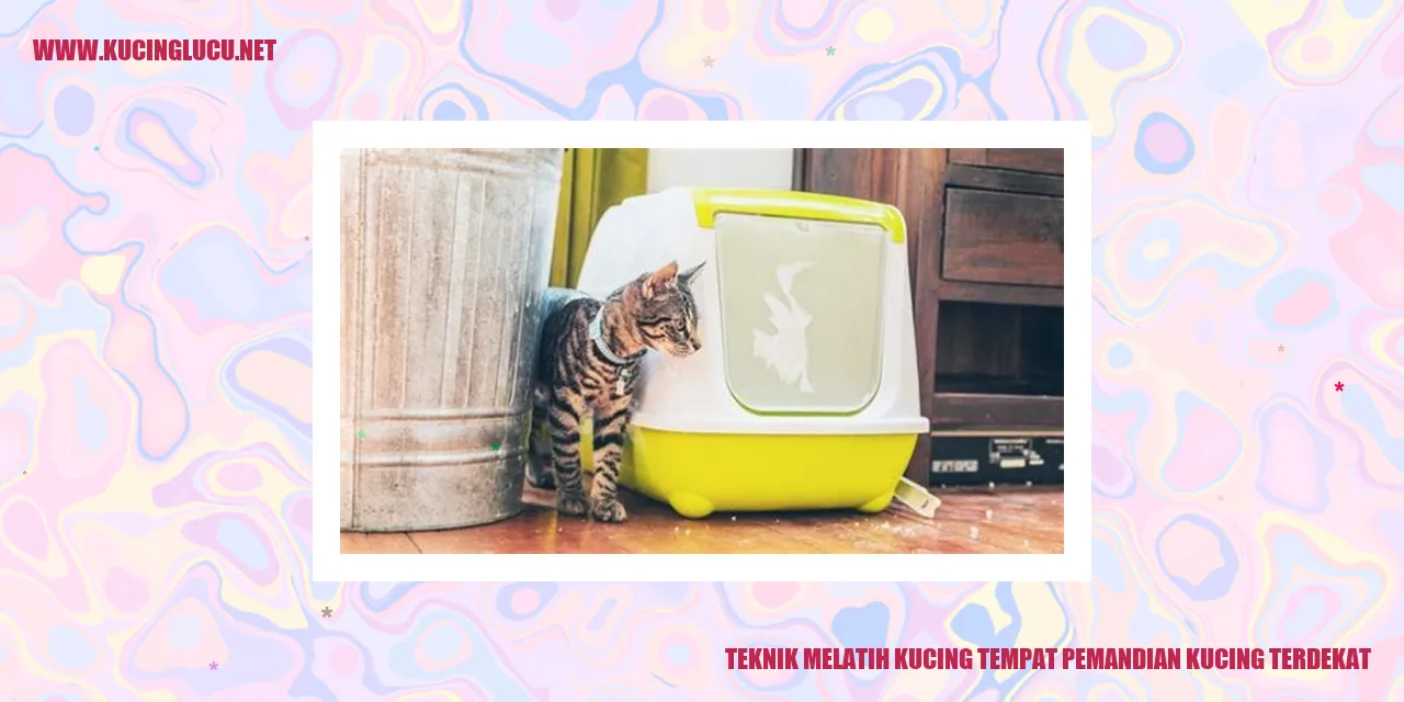 Kucing