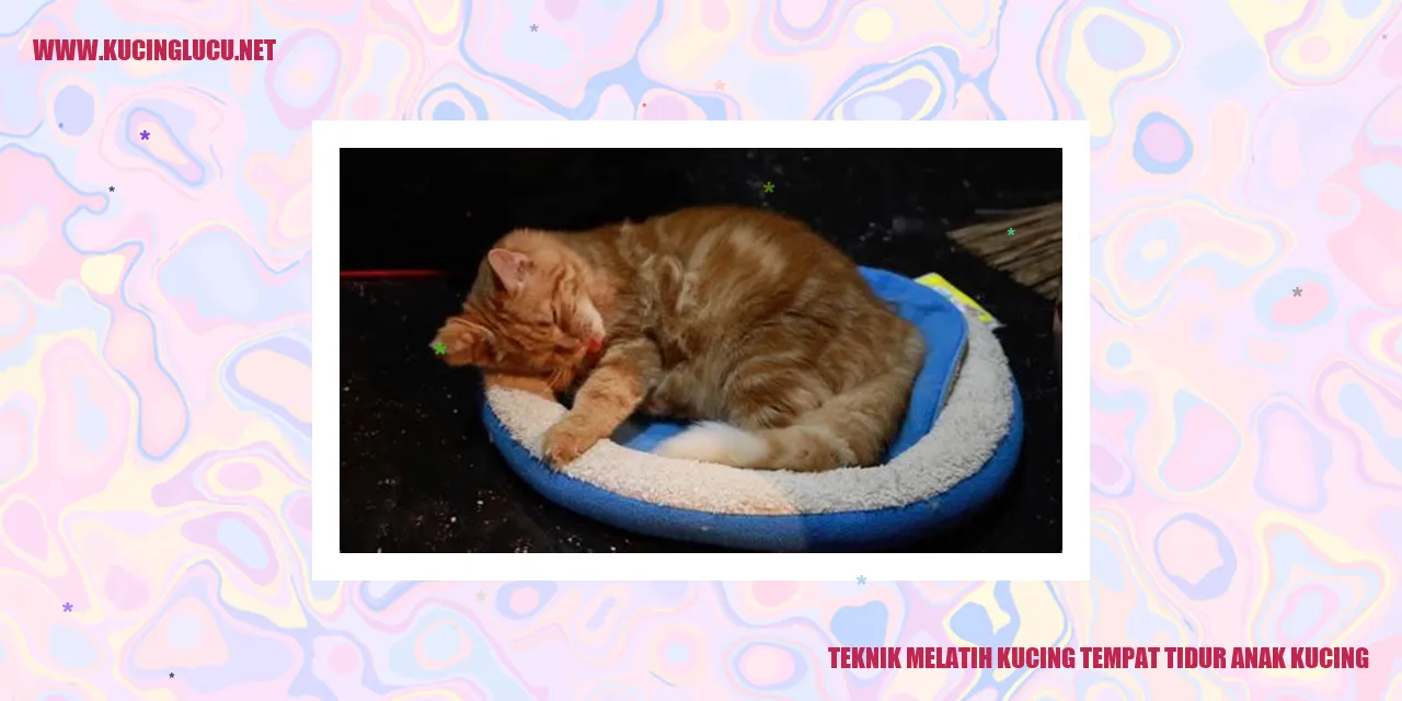 Gambar Kucing Tidur