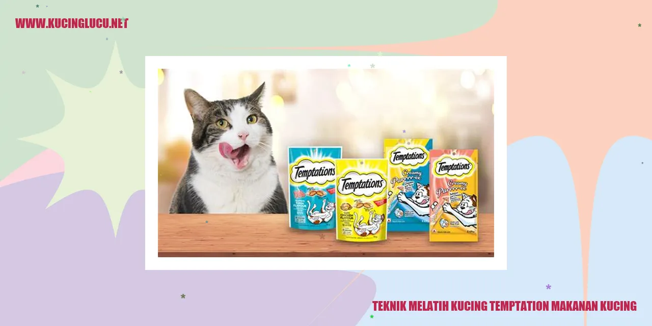 Teknik Melatih Kucing untuk Makan Temptation Makanan Kucing