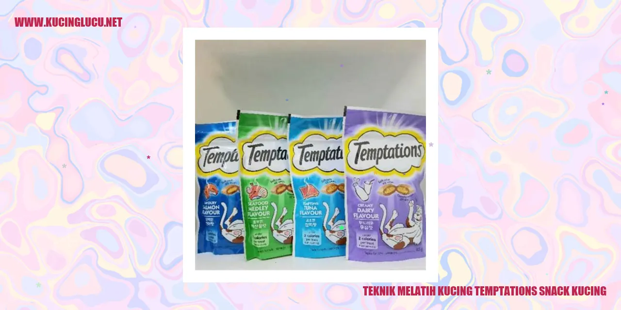 Kucing dengan Makanan Ringan Temptations Snack Kucing
