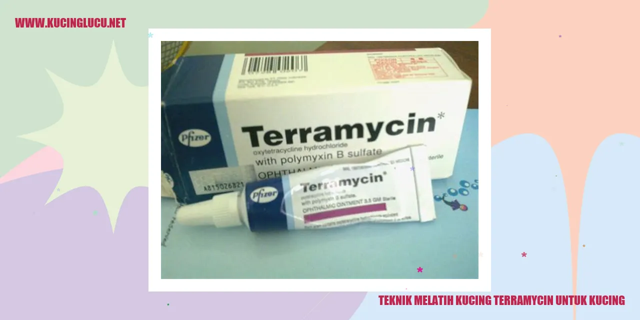 Kucing Menggunakan Terramycin