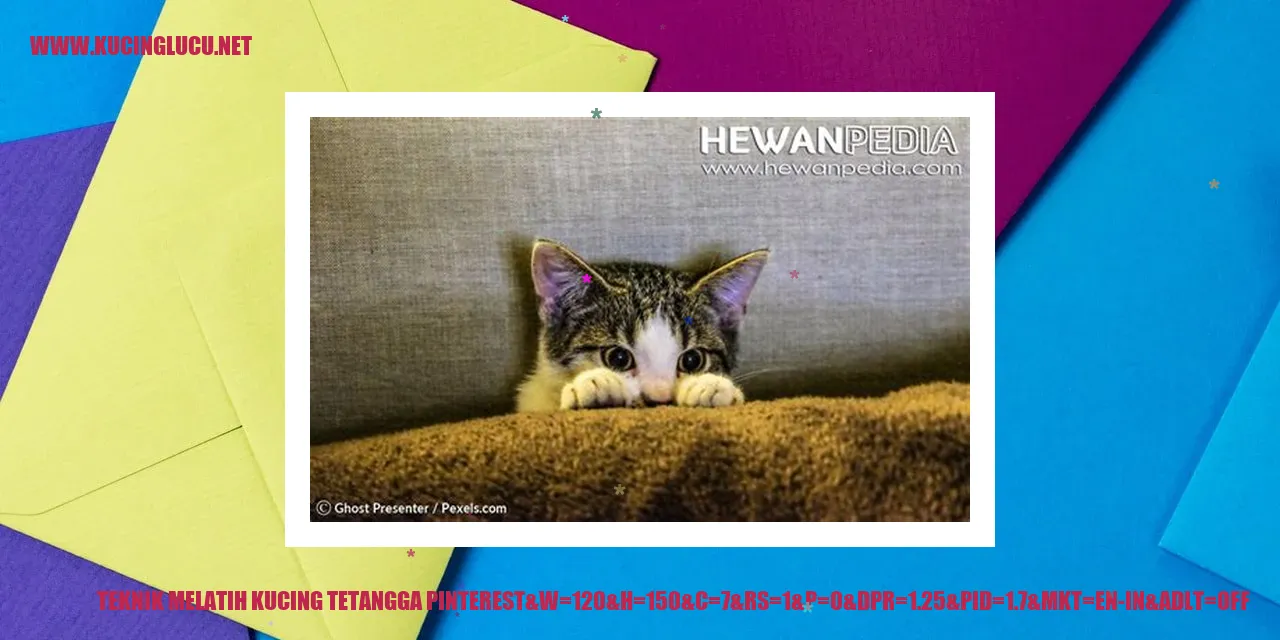 Gambar Kucing Merah