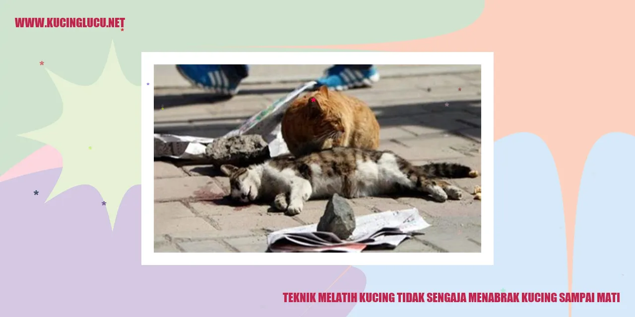 gambar kucing
