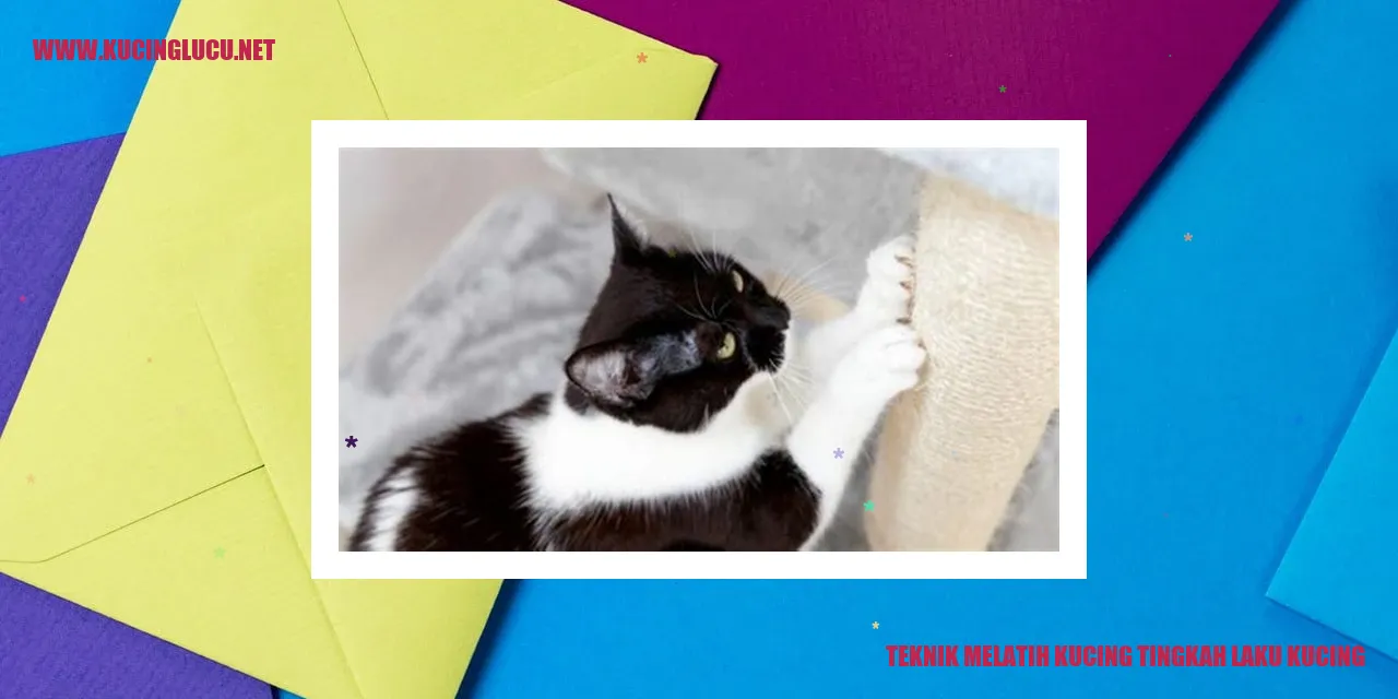Teknik melatih kucing