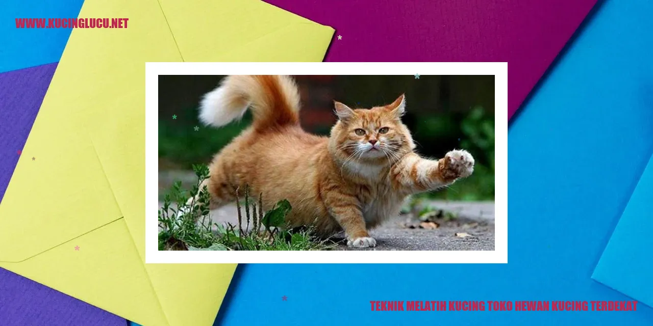 Teknik Membina Kucing