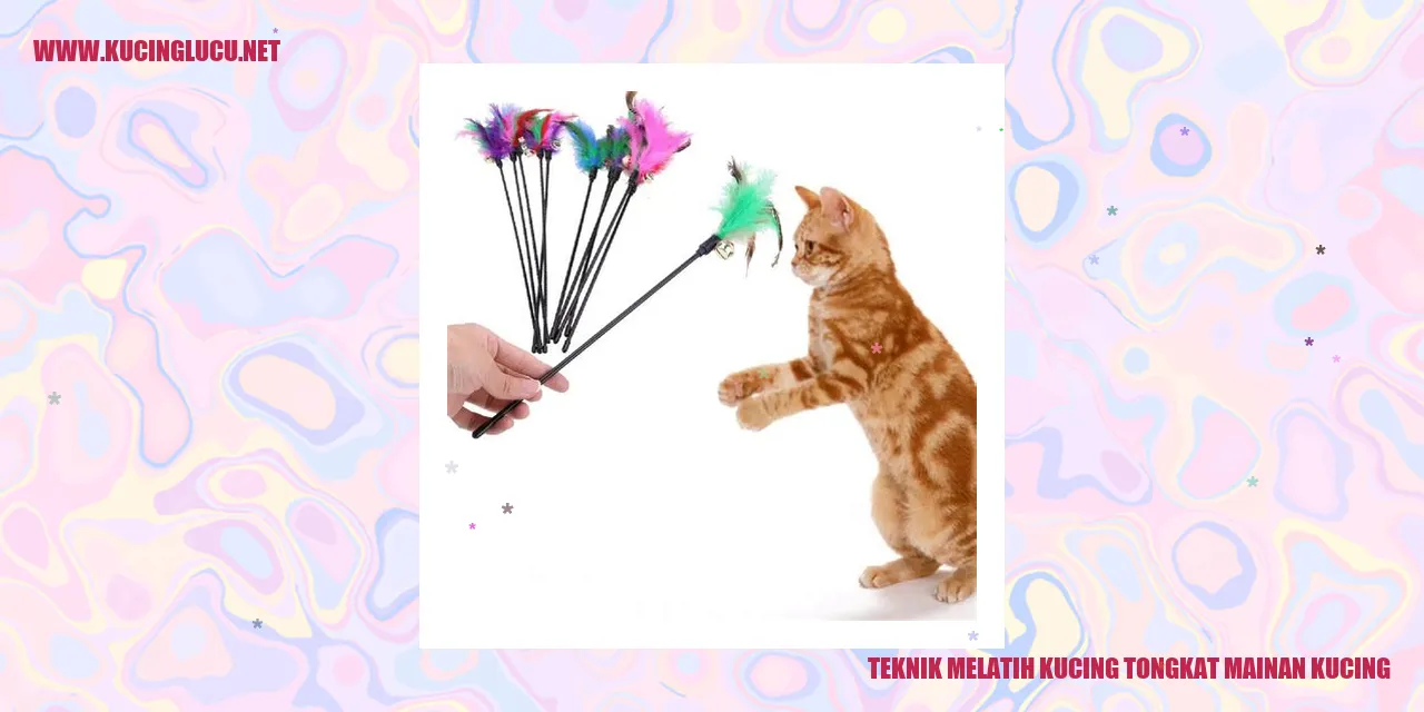 Teknik Melatih Kucing tongkat mainan kucing
