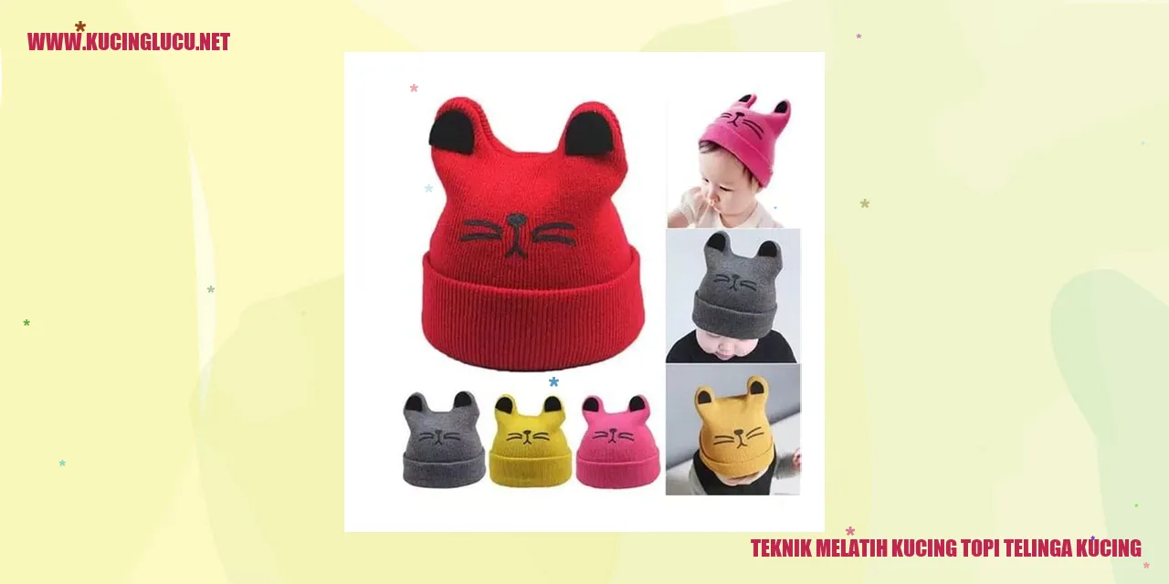 Kucing topi telinga kucing