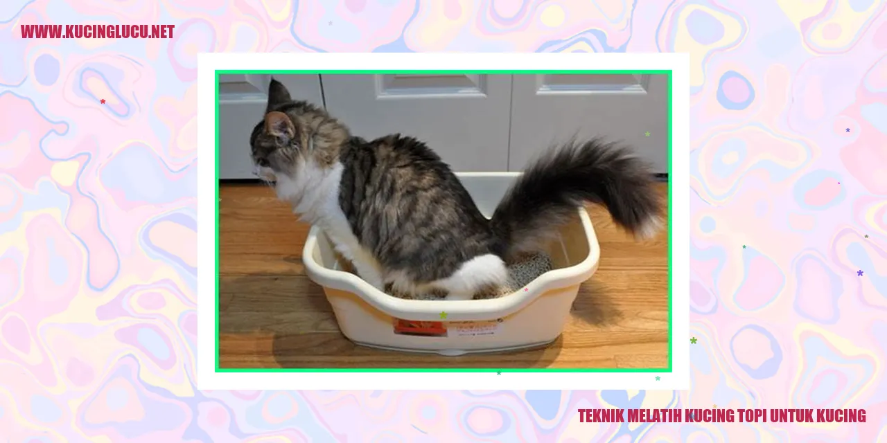 Gambar Kucing Topi