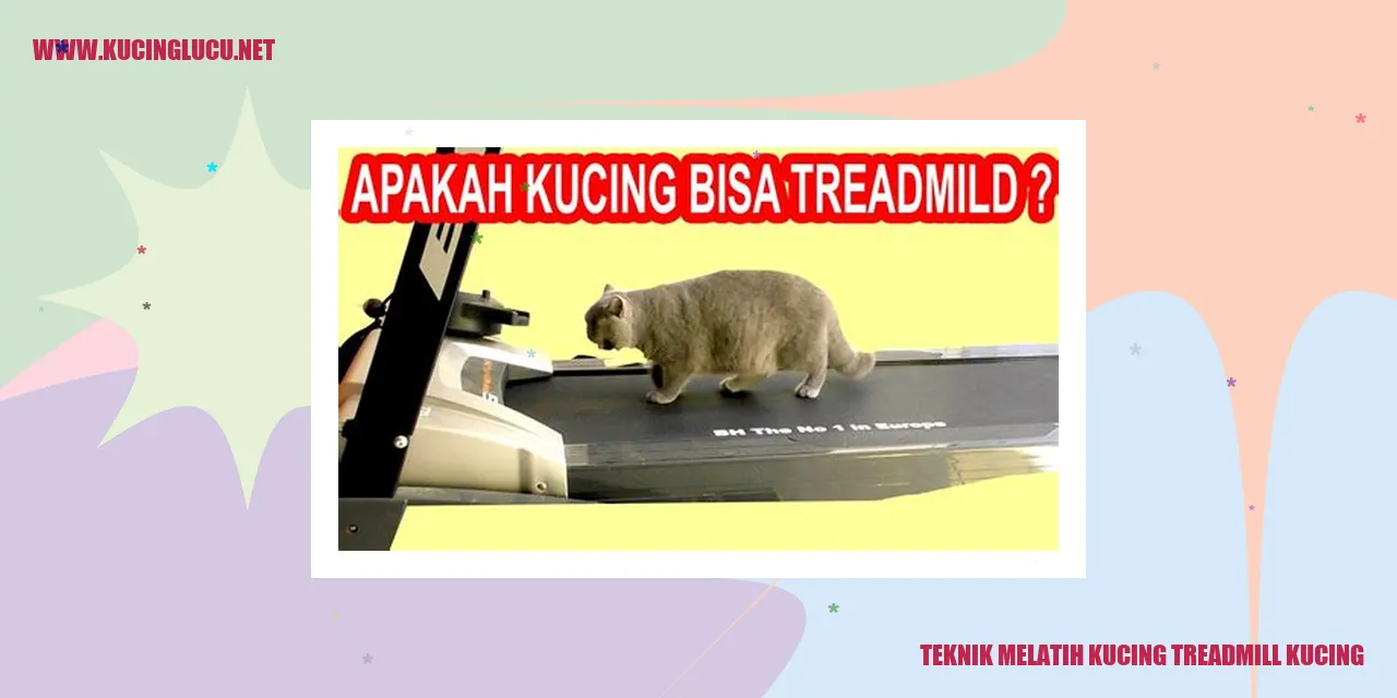 Kucing berlatih di treadmill