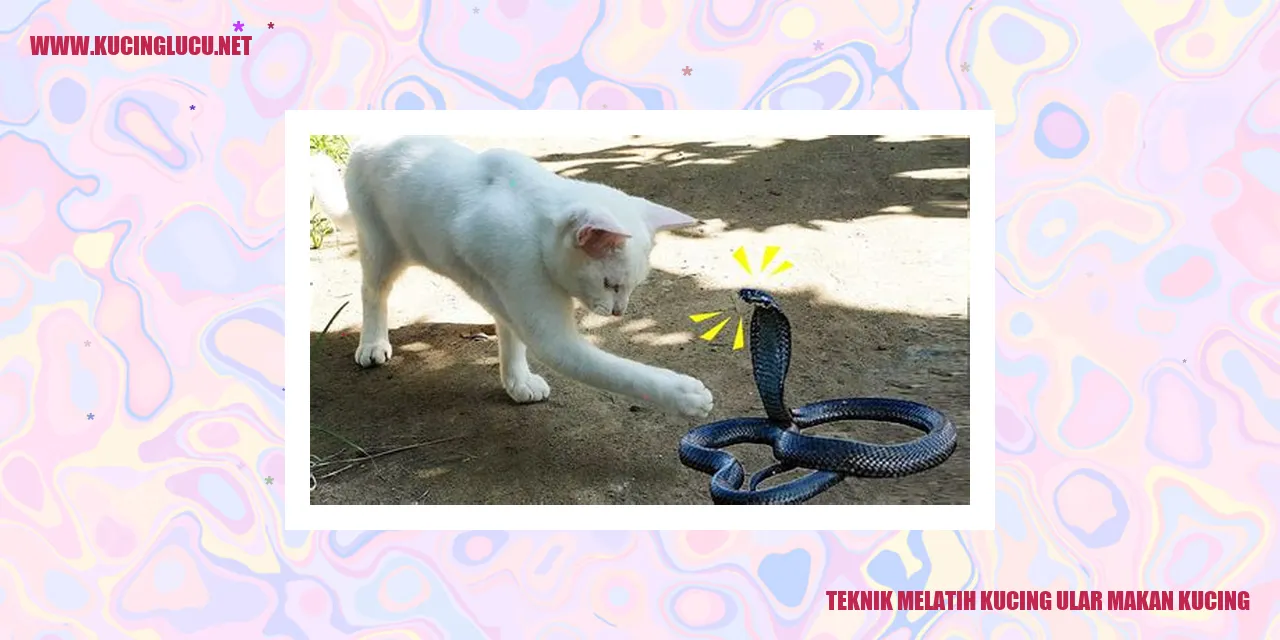 Kucing dan Ular