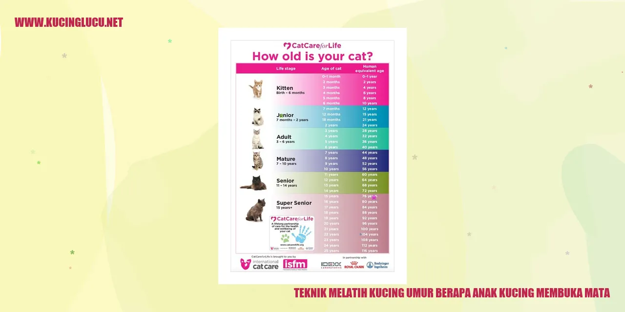 Gambar Kucing yang Menggemaskan