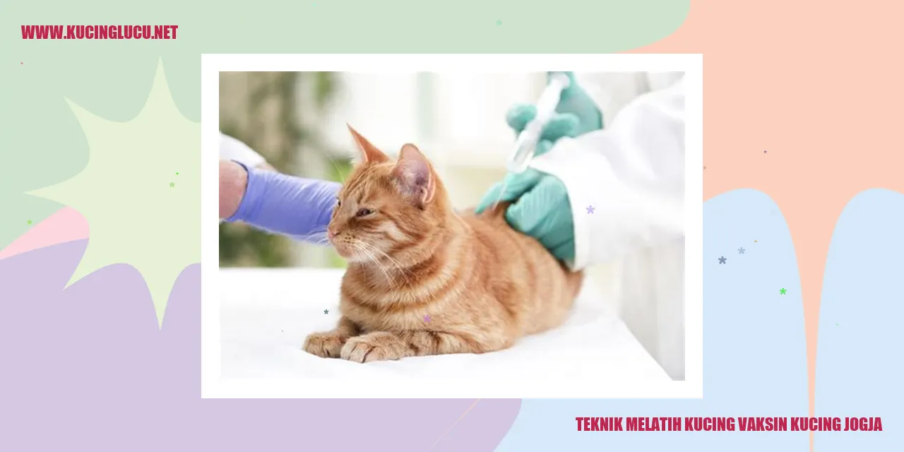 Teknik Melatih Kucing vaksin kucing jogja