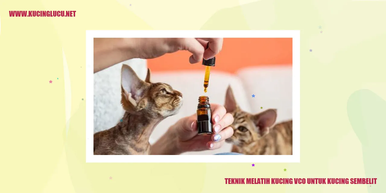 Gambar Kucing Sembelit