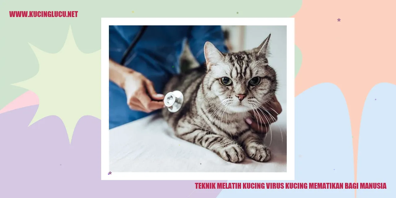 Gambar kucing yang telah dilatih