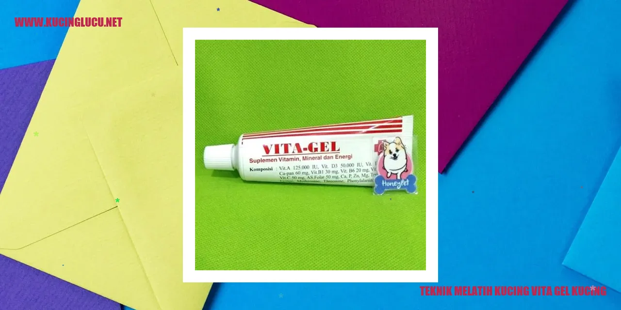 Gambar kucing sedang diberi vita gel kucing