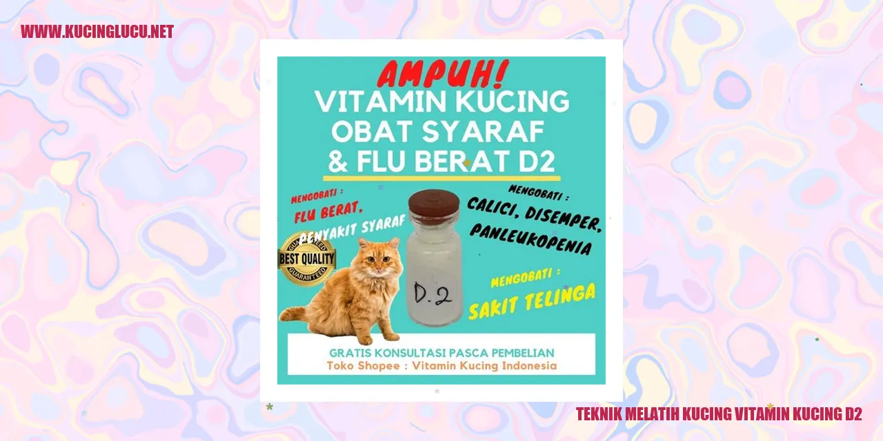 Teknik Melatih Kucing