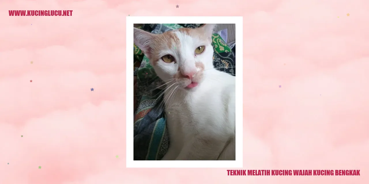 Kucing dengan wajah bengkak
