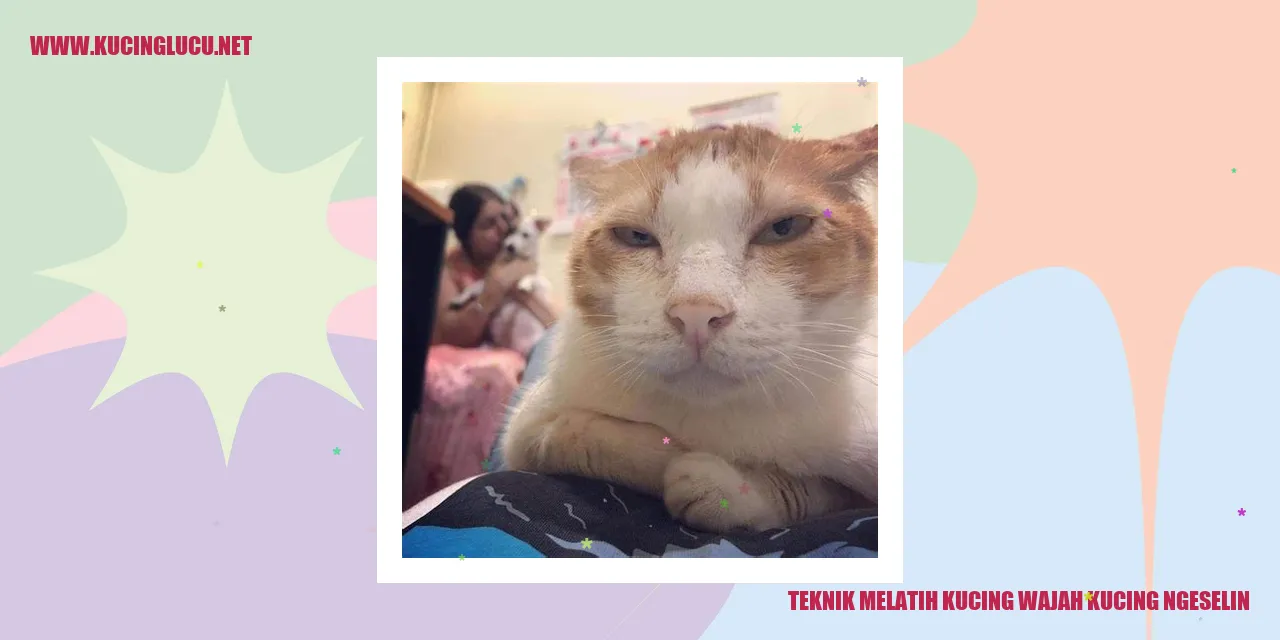 Kucing Mengganggu