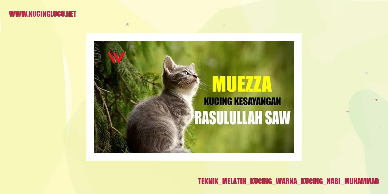 Ilustrasi Kucing