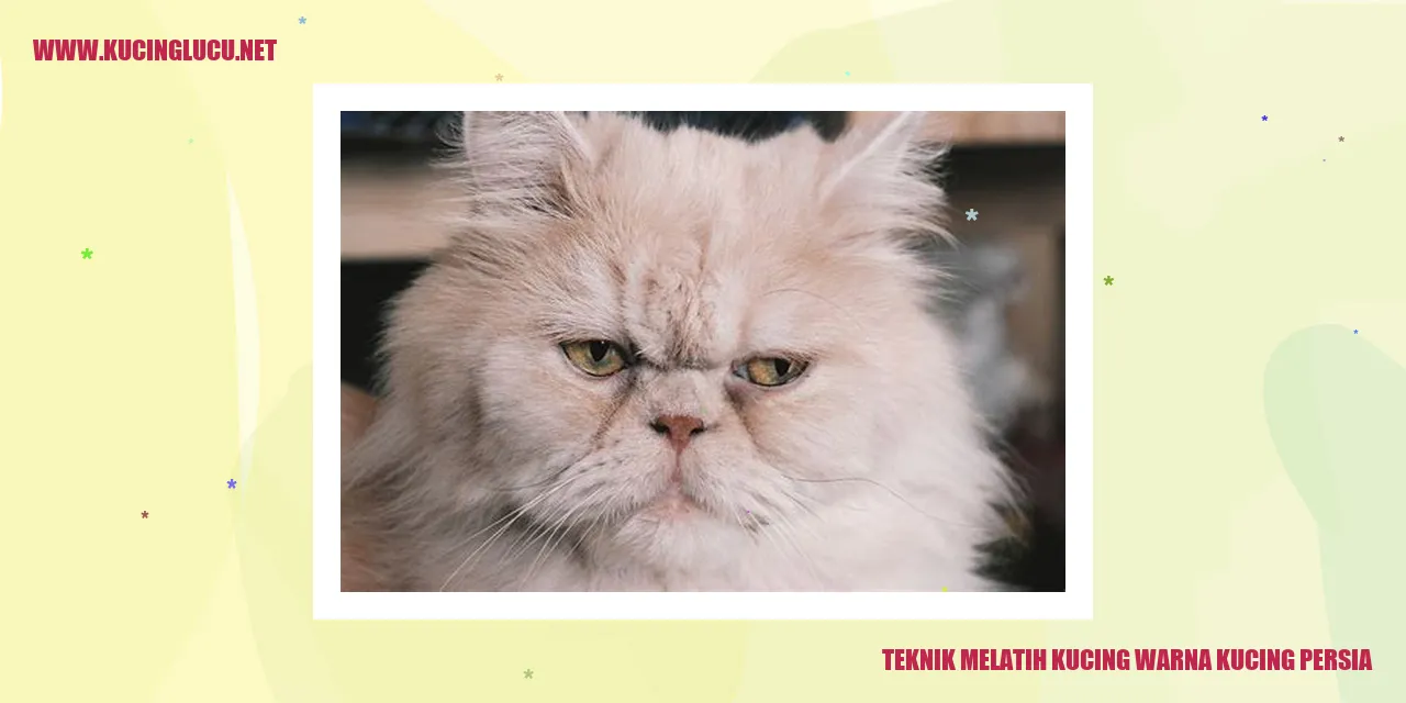 Kucing Persia yang Menggemaskan