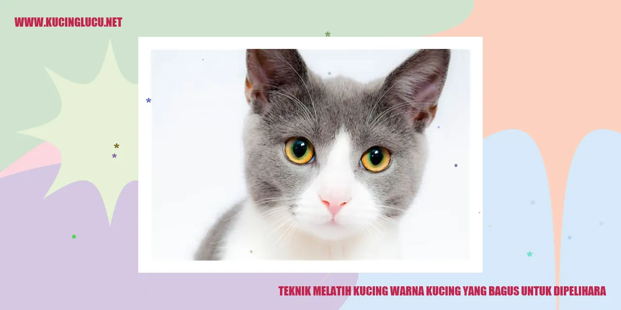 Kucing dengan warna cantik