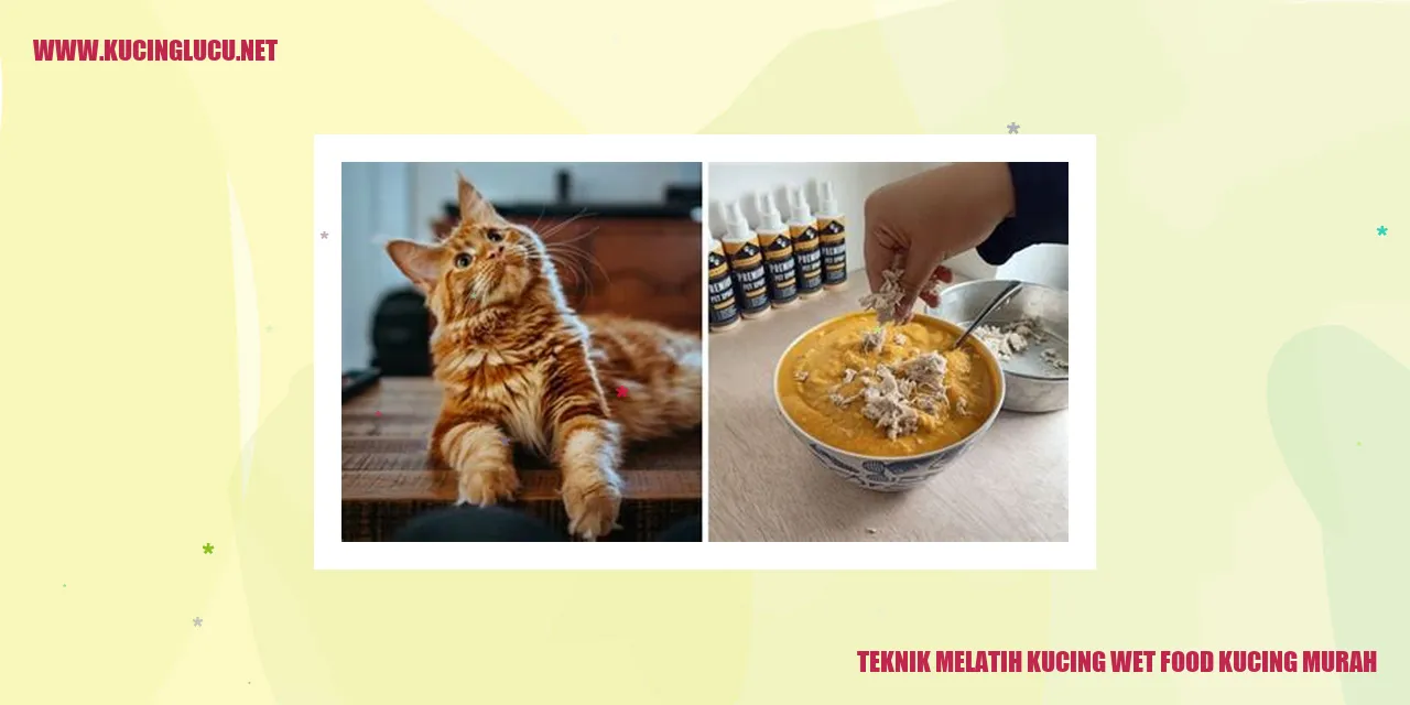 Gambar Kucing yang Menikmati Wet Food