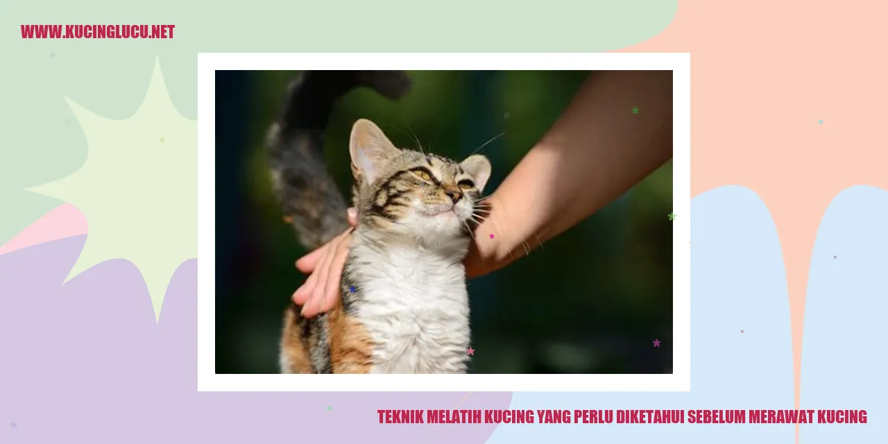 Melatih Kucing
