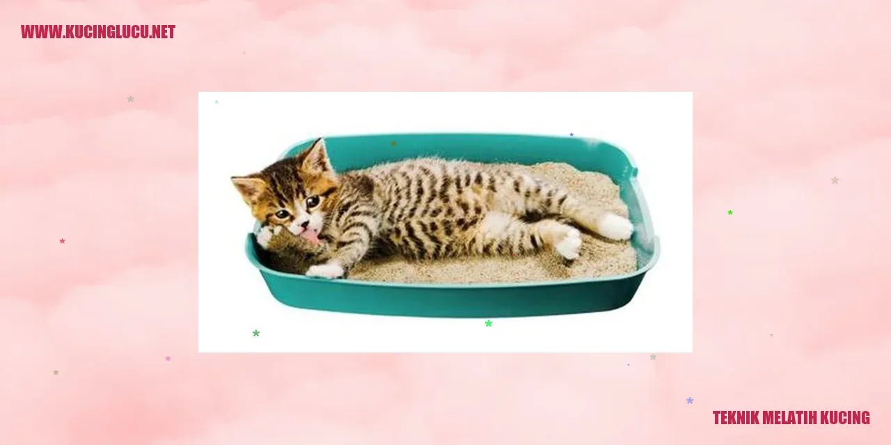 Gambar Kucing