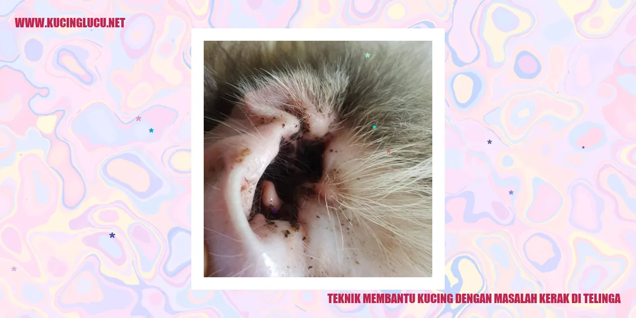 Teknik Membantu Kucing dengan Masalah Kerak di Telinga