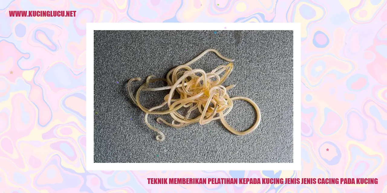 Gambar Kucing