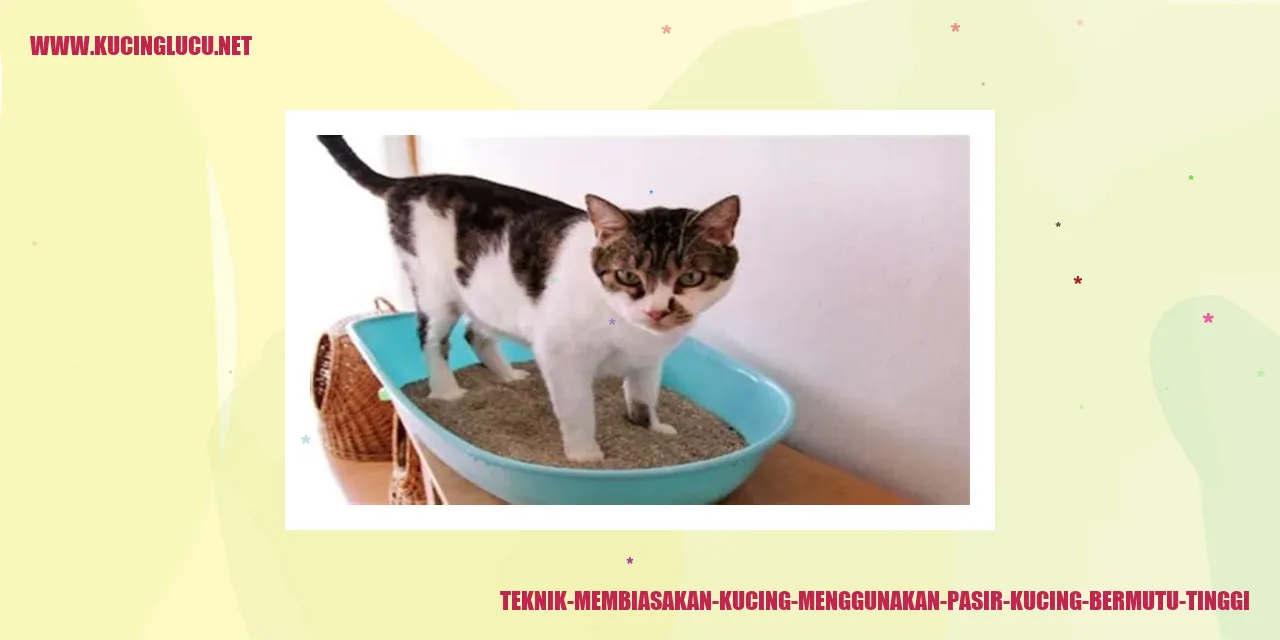 Teknik Membiasakan Kucing Menggunakan Pasir Kucing Bermutu Tinggi