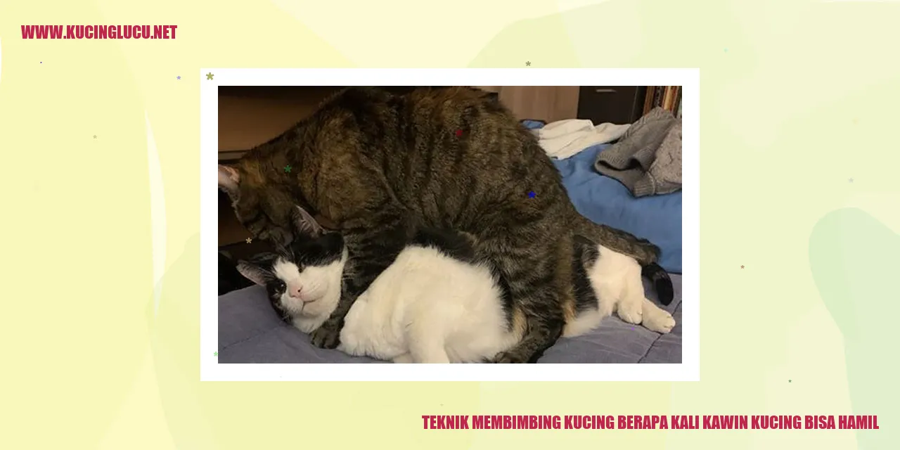 Gambar Kucing