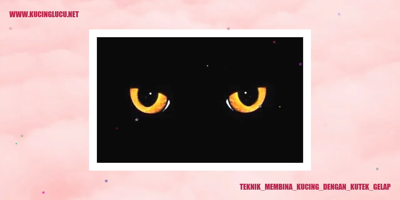 Gambar kucing berwarna hitam yang sedang digosok kuku