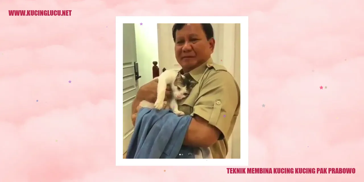 Gambar Kucing Suka Dibina