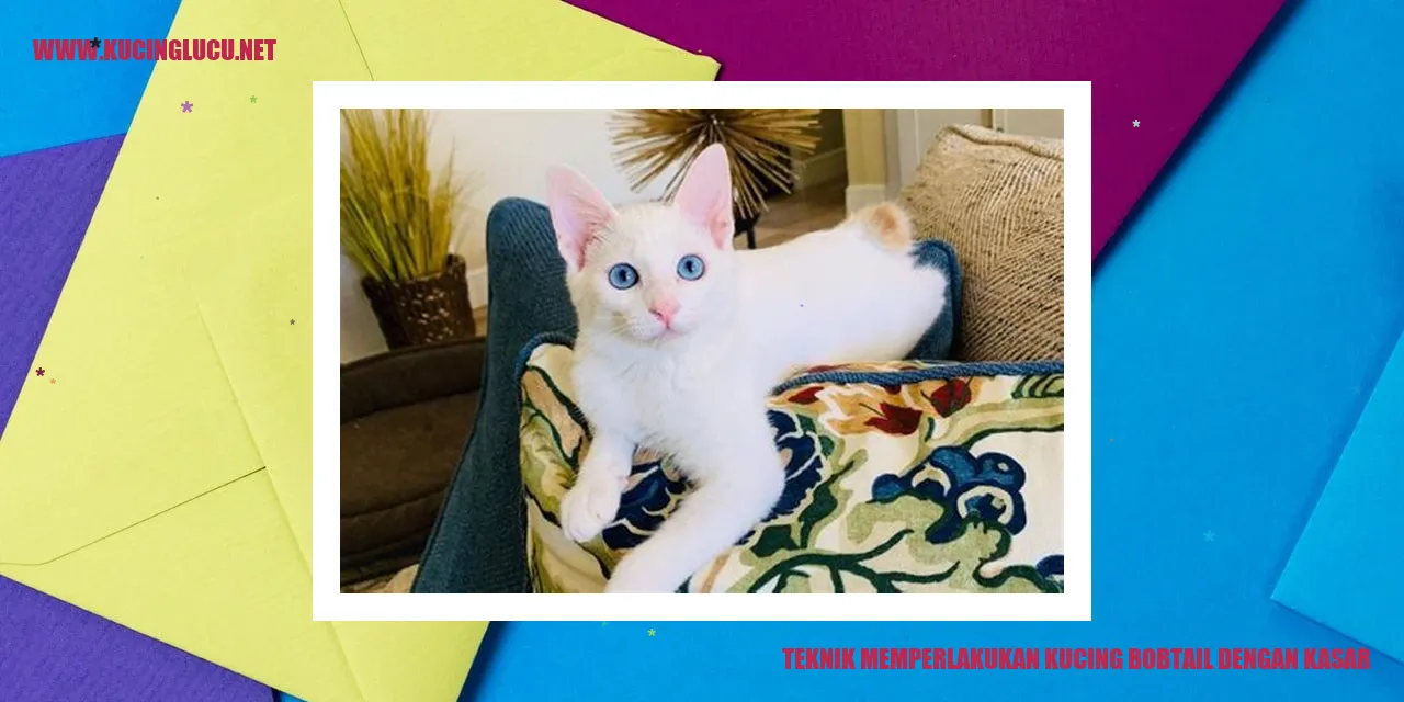 Gambar Kucing bobtail