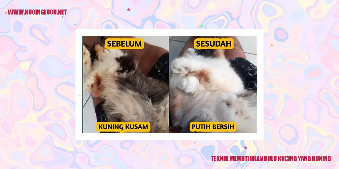 Kucing dengan bulu menguning