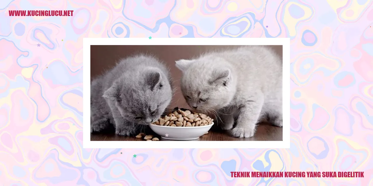 Gambar Kucing yang Suka Dielus