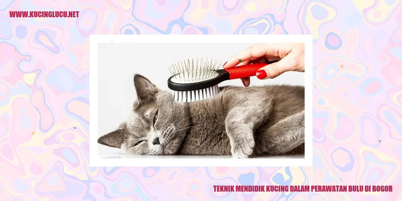 Teknik Mendidik Kucing Dalam Perawatan Bulu di Bogor