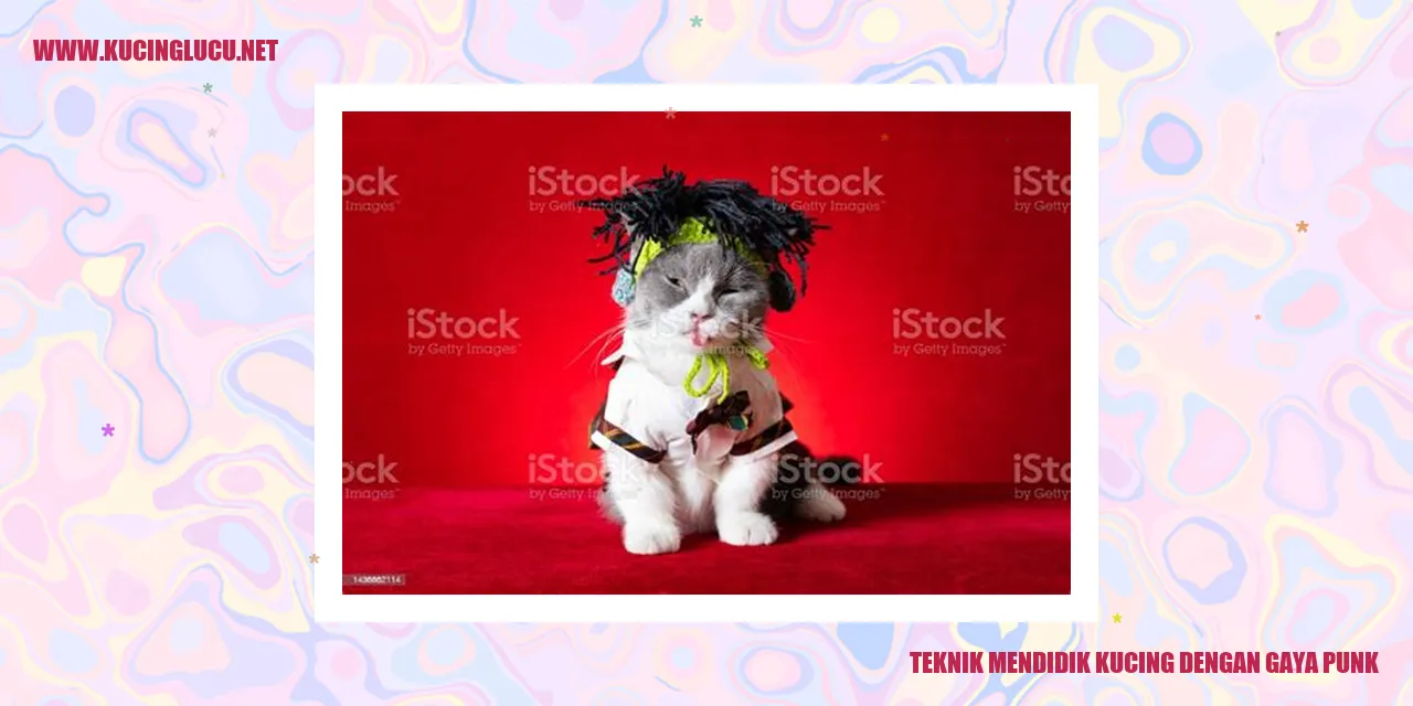 Gambar kucing punk yang unik