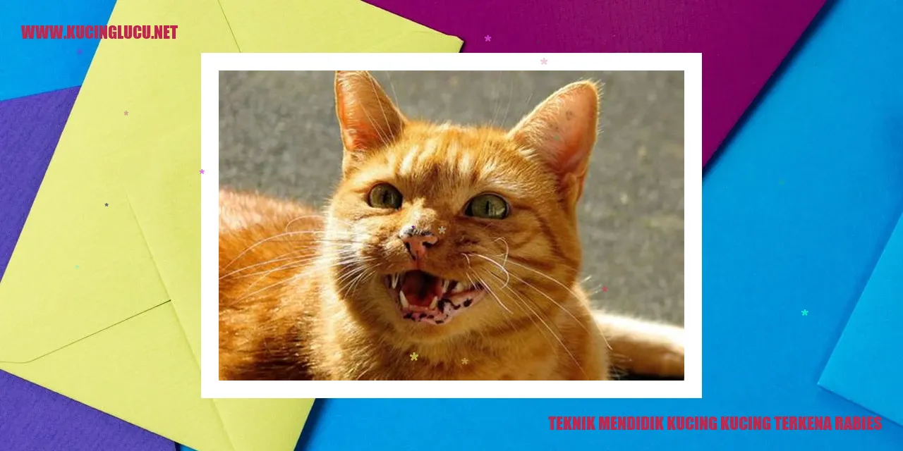 Kucing yang terkena rabies