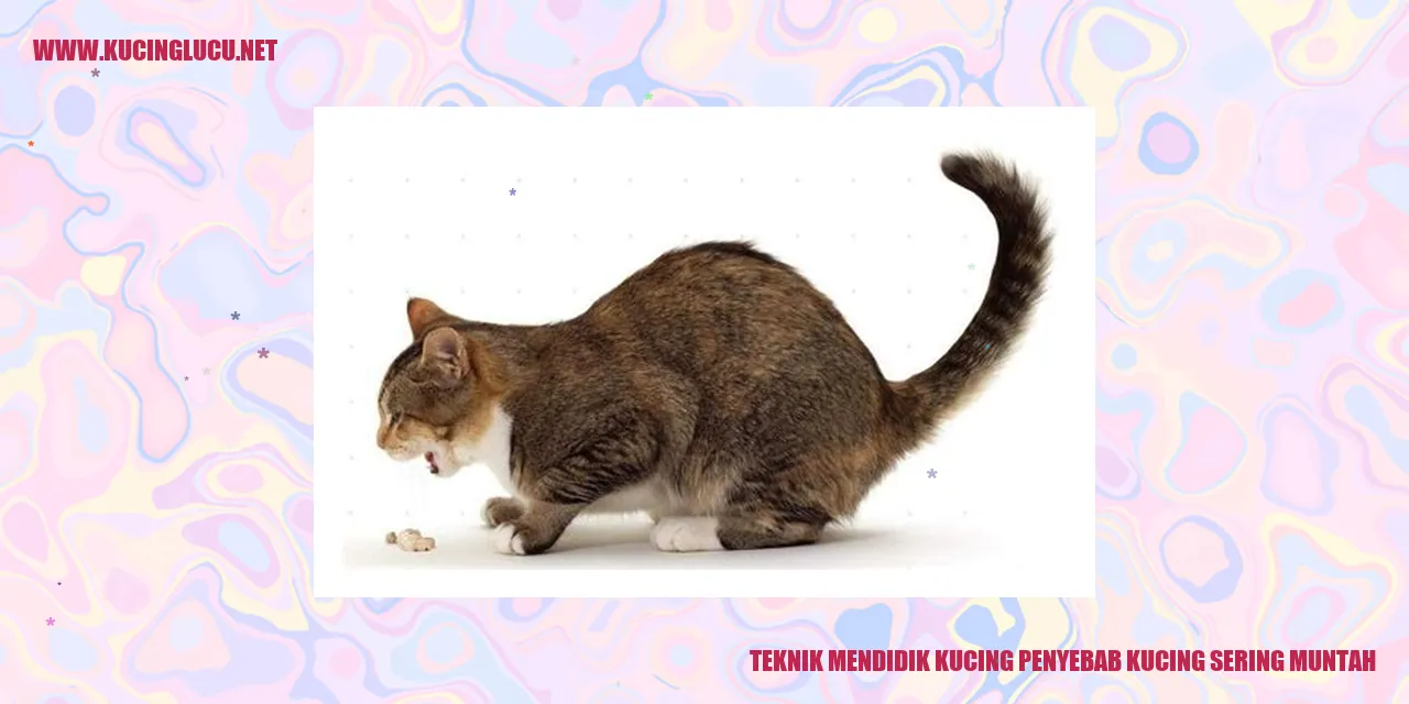 Gambar Kucing Menggambarkan Teknik Mendidik Kucing yang Menyebabkan Kucing Sering Muntah