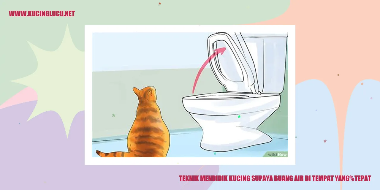 Kucing dalam latihan