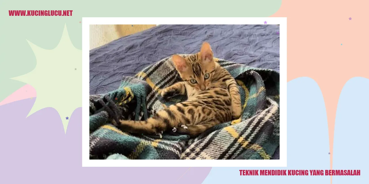Gambar Kucing yang Bermasalah