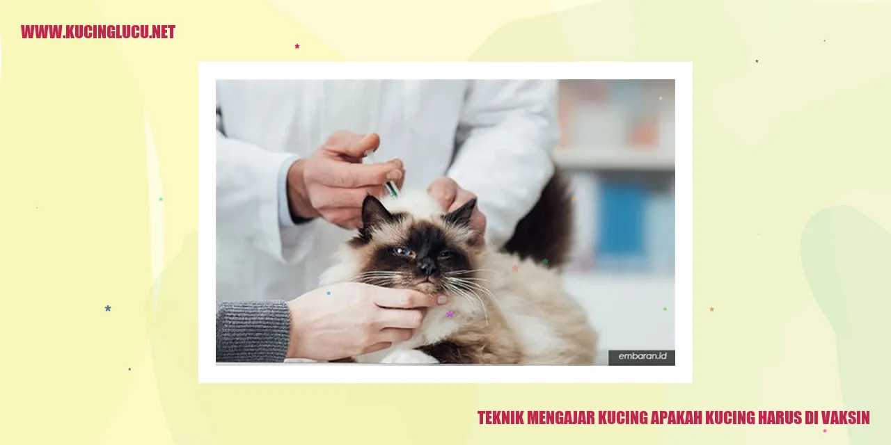 Ilustrasi Kucing