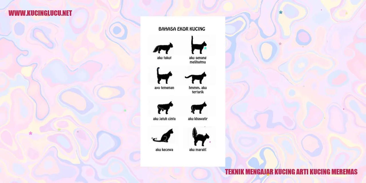 Kucing sedang meremas