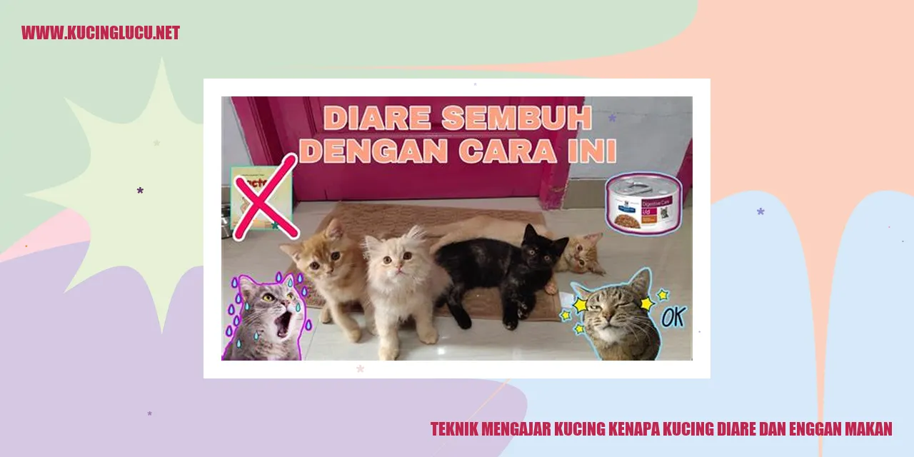 Ilustrasi Kucing