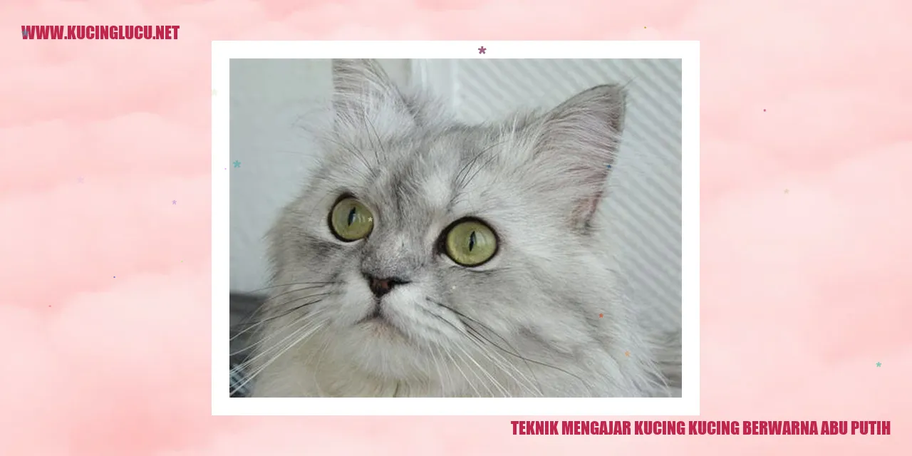 Ilustrasi Kucing Abu-abu Putih