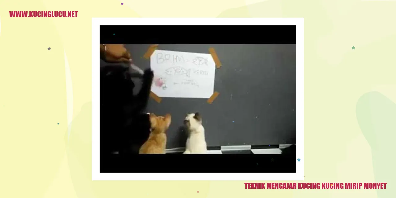 Gambar kucing yang lucu