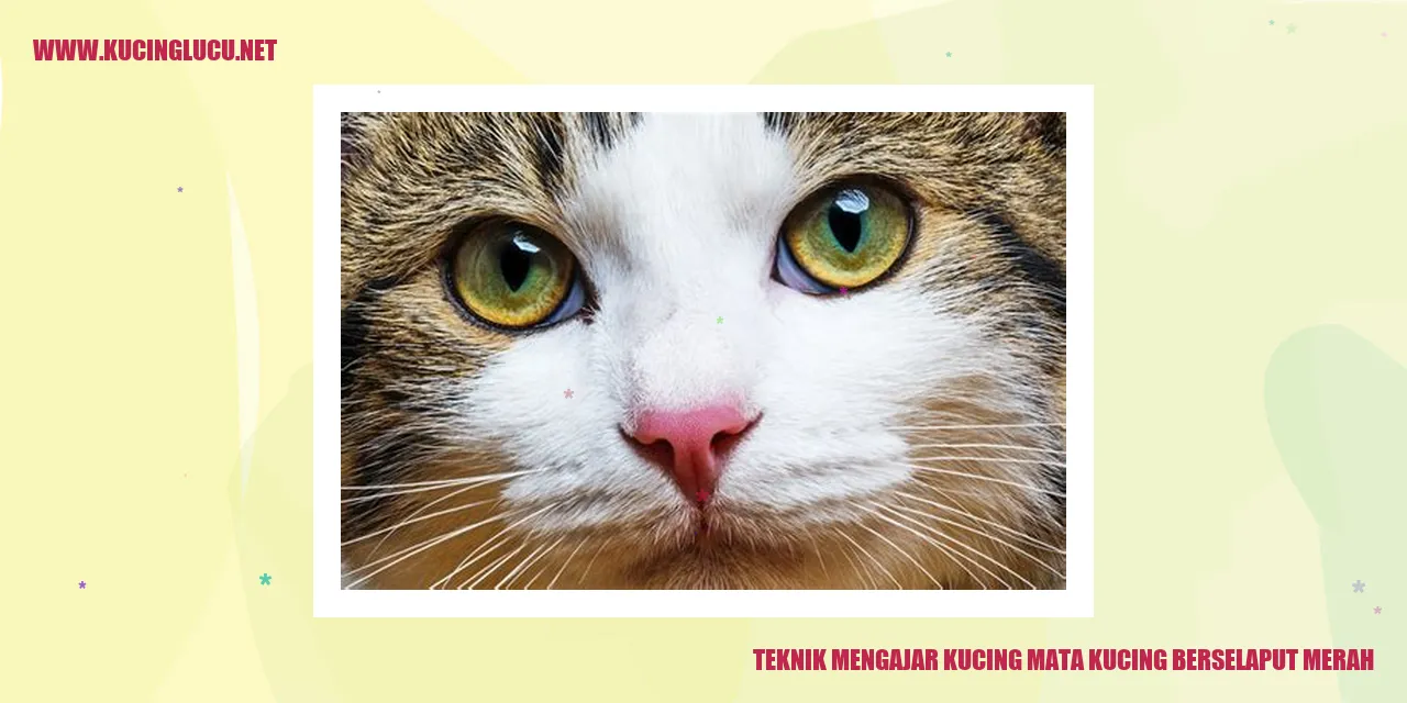 Kucing Mata Kucing Berselaput Merah