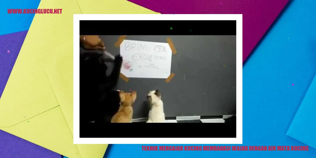 Teknik Mengajar Kucing Membasuh Wajah dengan Air Mata Kucing